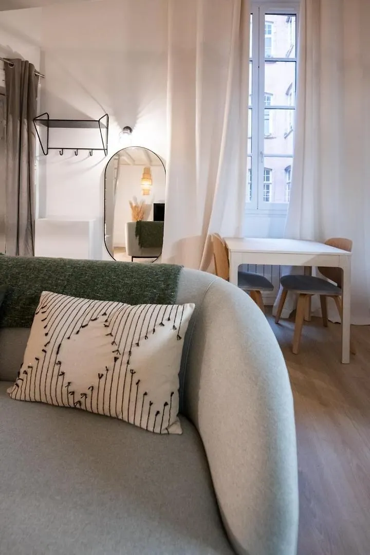 Le St Jean - 26M2 Vieux Lyon Apartament